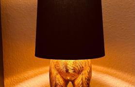 Schlosswache21 - Foto 18