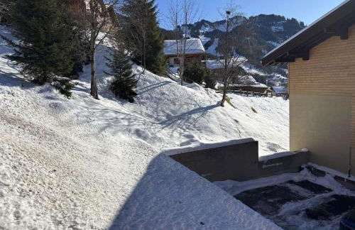 Yéti 6 n° 8 : appartement rénové au Petit Chatel - Foto 11
