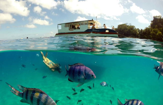 Balade en bateau + Snorkeling à la Plage Sancho - Photo 6