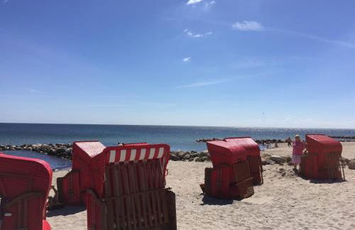 Strandläufer - Foto 30