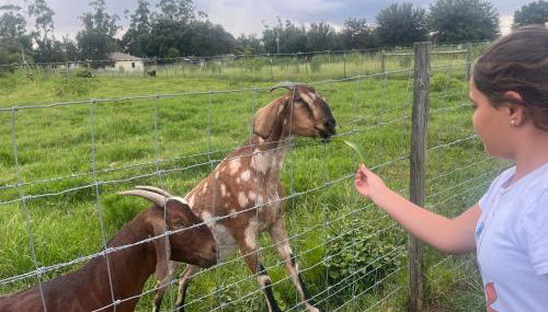BlockHaven near Legoland, Disney - Foto 3
