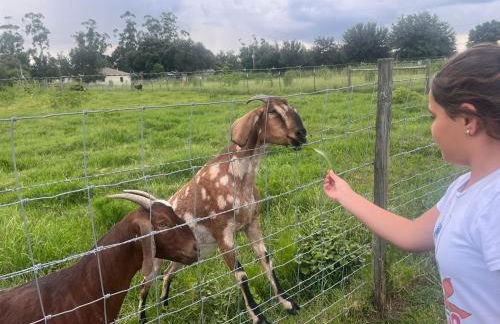BlockHaven near Legoland, Disney - Foto 3