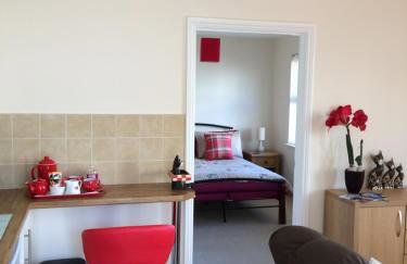 The Custards - Foto 9