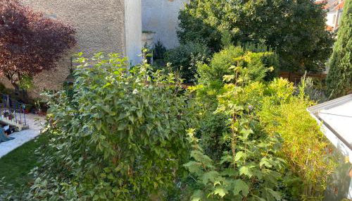 Appart Rez de jardin - Foto 5