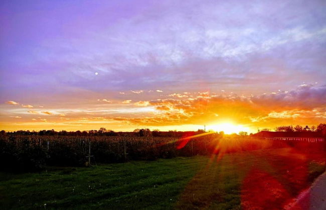 Holiday Home Near Dusseldorf Exhibition Centre - Foto 33