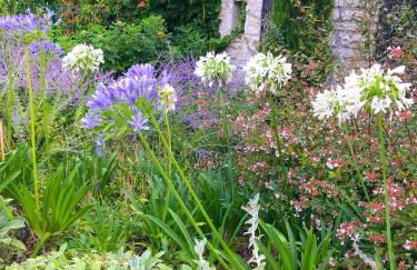 Lago di Garda a 100m - Fasanella Penthouse - Foto 55