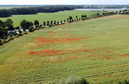 Premium Ferienwohnung Ulf-Dieter Kunstmann - Foto 44
