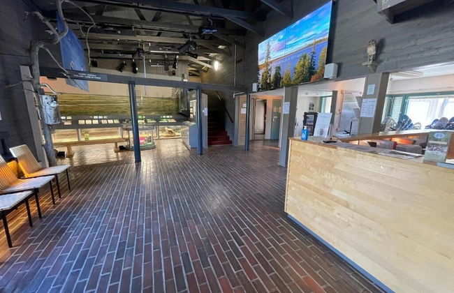 Karhunkierros Cabins & Huts - Foto 5