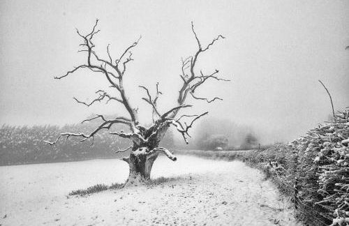 The Organic Cotswolds Cowshed - Photo 65