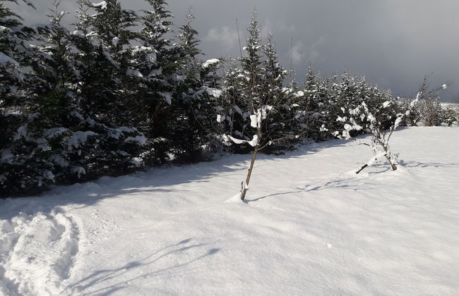 Vira Garden House - Foto 80