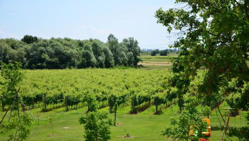 Là Di Anselmi - Foto 2, Other