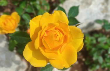 Lunamora 4 - Foto 45