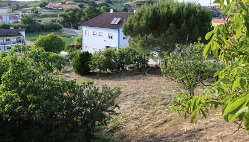 Quinta do Carvalheiro - Photo 2