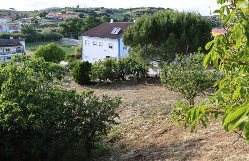 Quinta do Carvalheiro - Photo 2