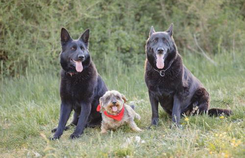 Schäfer's Ferienhof Michaelsberg - Foto 72