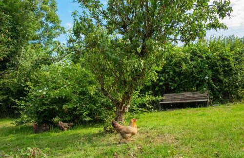 Fedwen Uchaf Tresaith - Foto 23