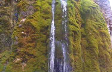 FeWo zum Römerturm - Foto 28