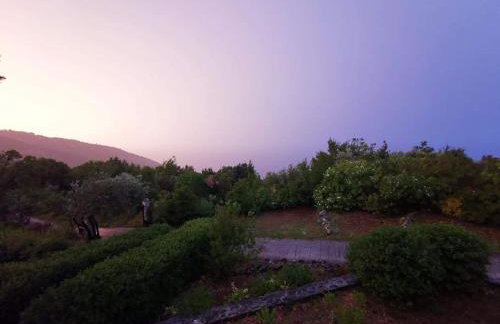 Aphrodite 's cottage - Foto 36