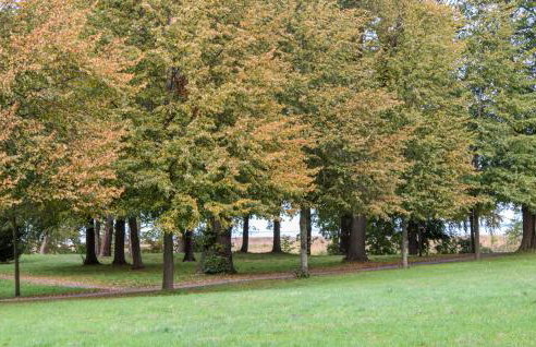 4 Bedroom Amazing Home In Klausdorf - Foto 8