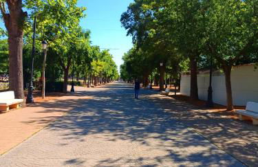 Casa Encanto Consuegra - Foto 23