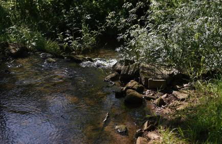Off-grid Cork Cabin With It's Own Island - Foto 38