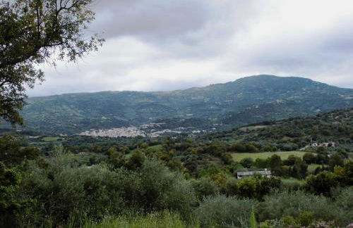 AGRITURISMO VIGNA DE' LUCERI - Foto 12