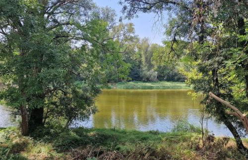 Côté Loire - Foto 14