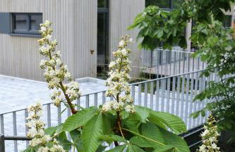 Klemmbachidyll - Photo 1