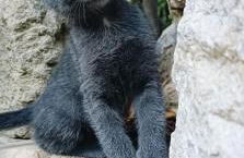 azienda agrituristica la torretta - Foto 4