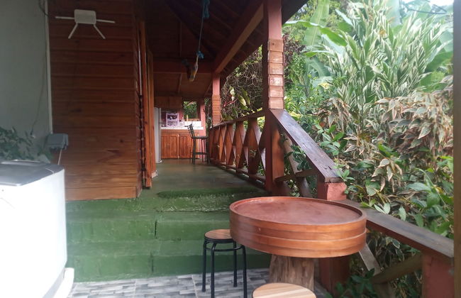 Berkey's Jungle Paradise - Photo 29