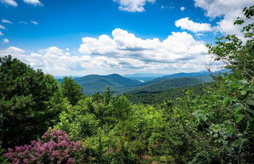 Black Bear Summit - Foto 7