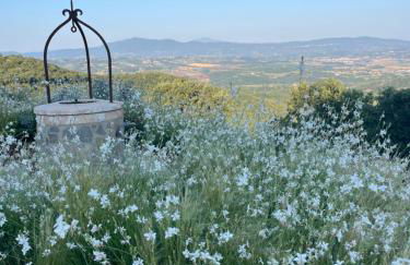 Luxury farmhouse "Villa Lidia Umbria - la dolce vita at its best! - Foto 16