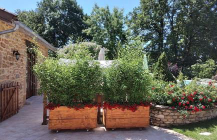 LE POULAILLER DE LA CHAYRIE - Foto 13