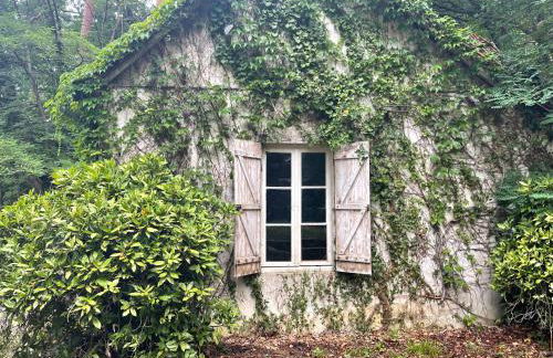 Villa luxueuse - La maison des pilotes - 50 m du circuit des 24h du Mans - Photo 10