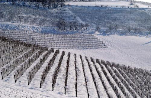 Cascina Arcangelo Raffaele - Foto 66