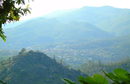 Casa da Carvalheira - Foto 22