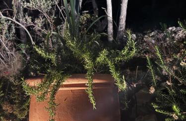 Pine Haven Retreat - Foto 30