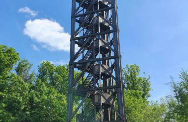 Natur-Design "Platzhirsch Sauerland" - Sauna, Kamin, Balkon, Garten, Hütte, Grill - Foto 50