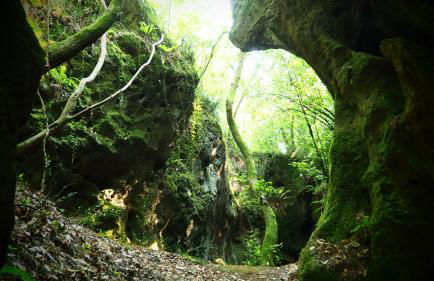 Apartamentos Rurales "La Torre" y "El Pielago" - Foto 62