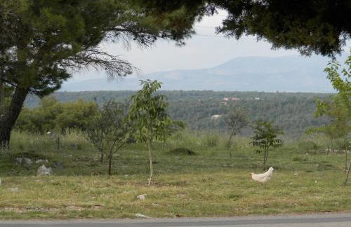 Apartment Slavica - Foto 43