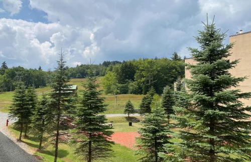 Ski-In Ski-out Luxury Condo with Hot Tub and pools - Foto 20