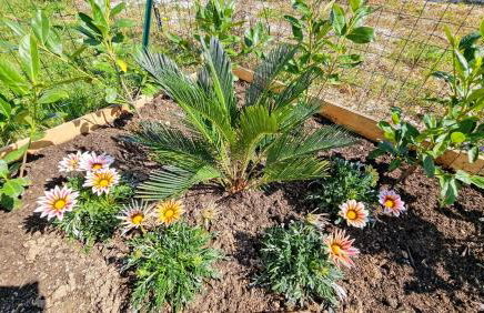 Serendipity, La Caletta - Photo 33