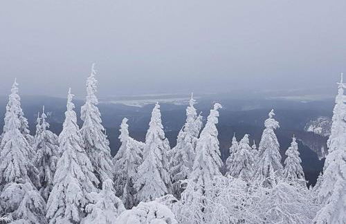 Apartments und Bistro Zum Glasmacher - Foto 86