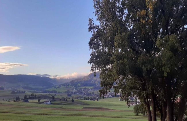 Family-friendly Tretting Home - Photo 37