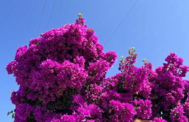 Villa Cataleya - Foto 20