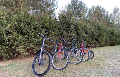 Sosenkowe Zacisze - Foto 35