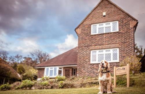 Green Pastures cottage in South Downs - Foto 1