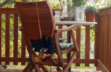 Casa sull'Albero Aromantica - Foto 17