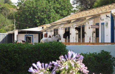 Casa Pura Vida - fantastic sea view - Foto 42