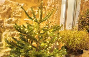 Au Mont Chablis - Foto 17